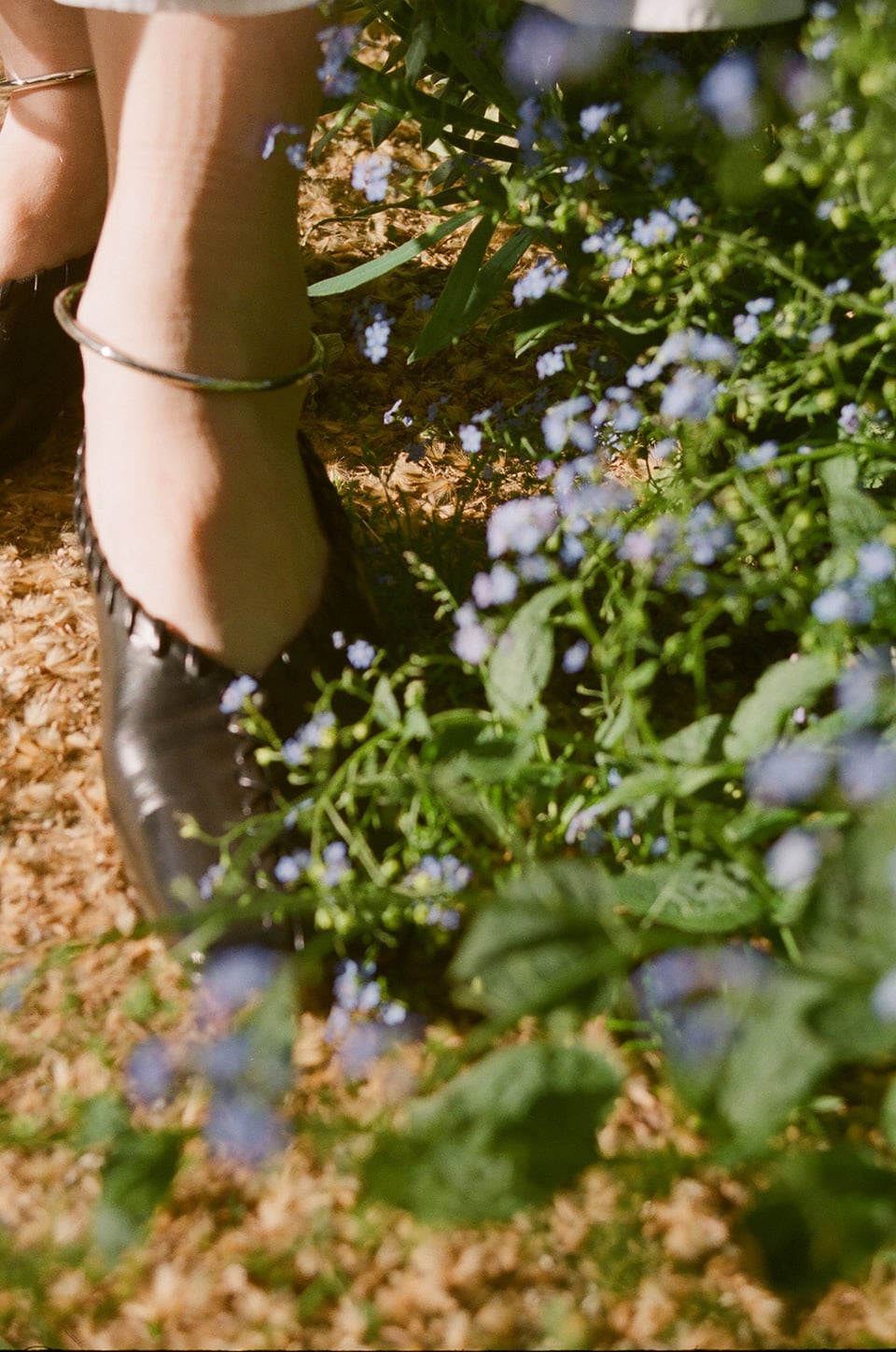 THE SPRING PROJECT DOCUMENTED BY LINA SCHEYNIUS