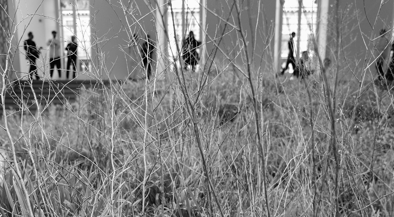 ADJACENT FIELD EXHIBITION OPENING DOCUMENTED BY LARRY FINK