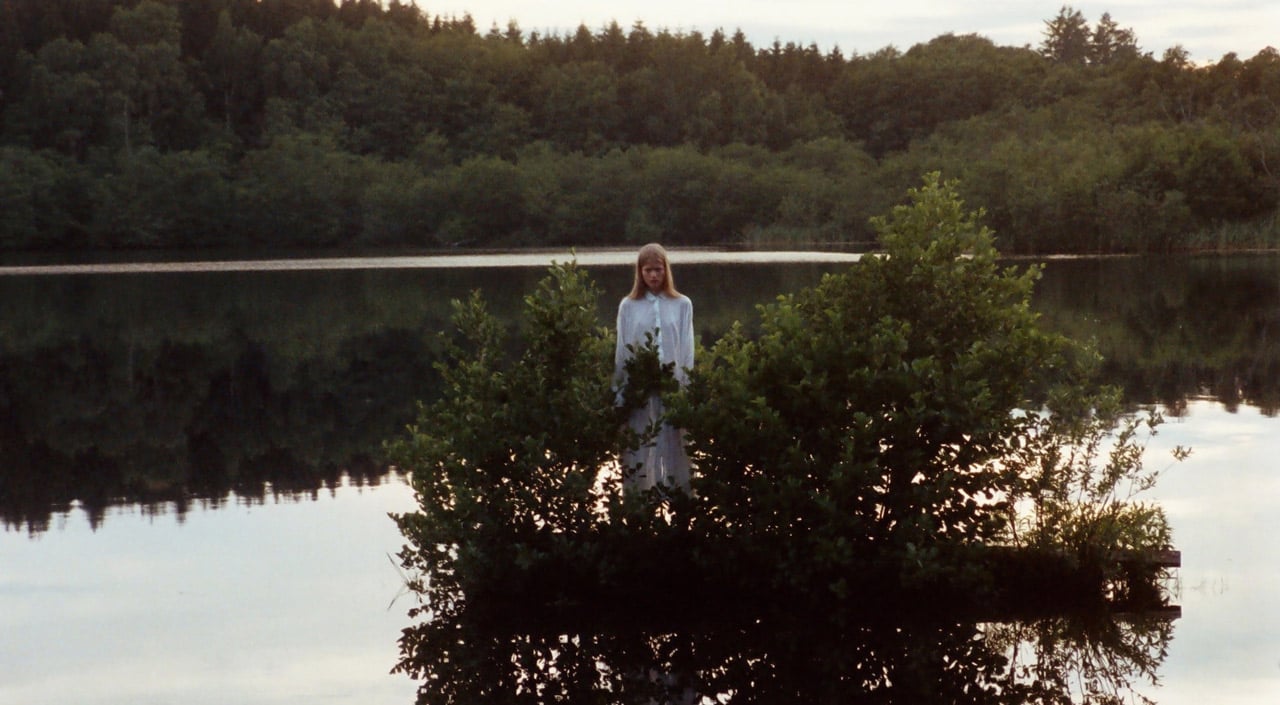 THE MIDSUMMER PROJECT DOCUMENTED BY STEFAN ARMBRUSTER