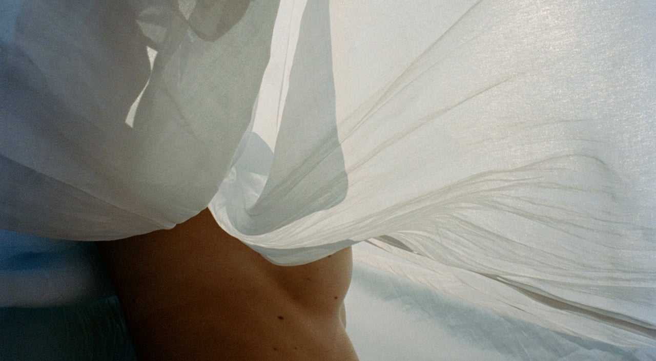 THE SUMMER PROJECT DOCUMENTED BY LARISSA HOFMANN