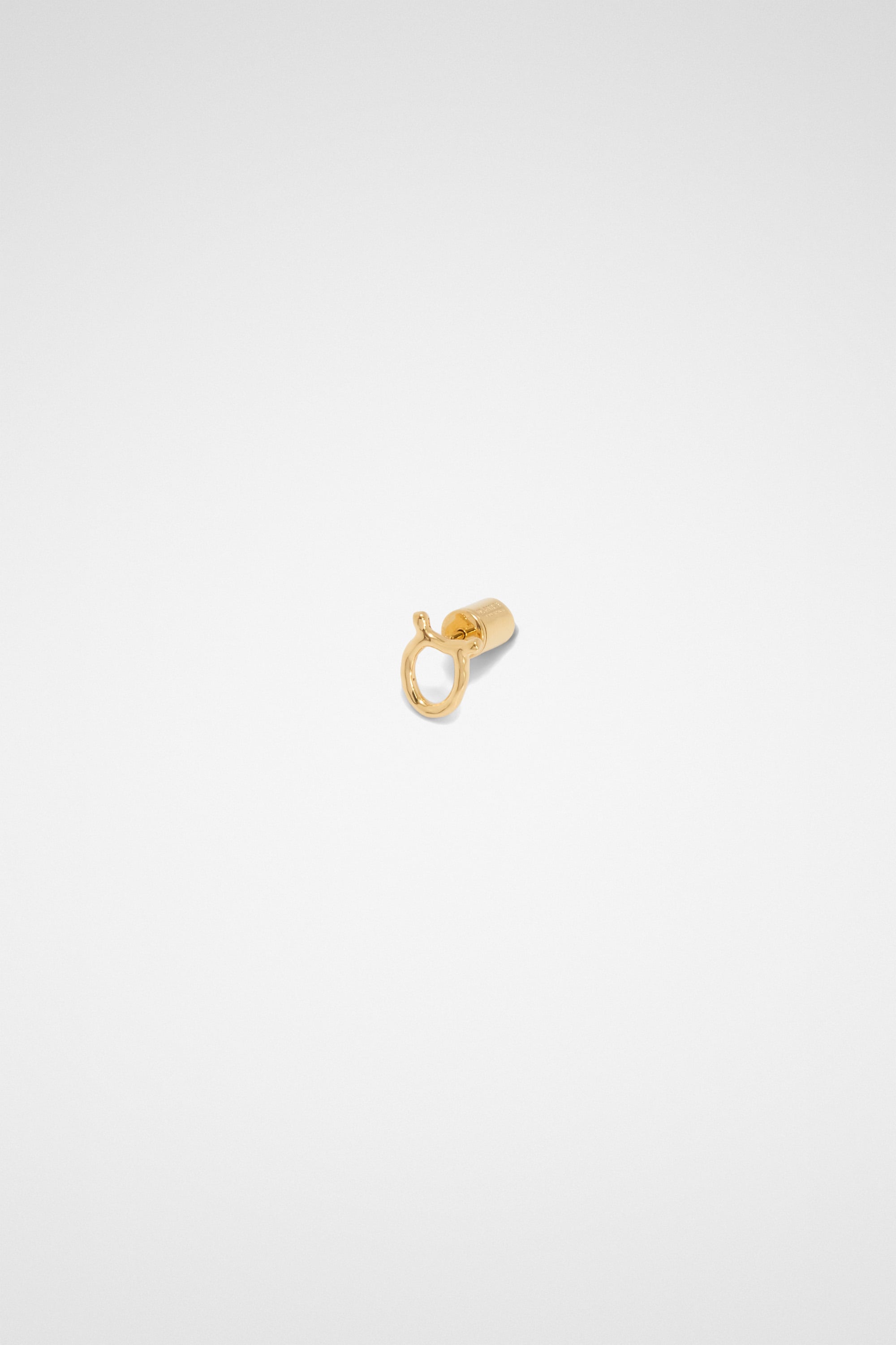 Zodiac Earring 2
