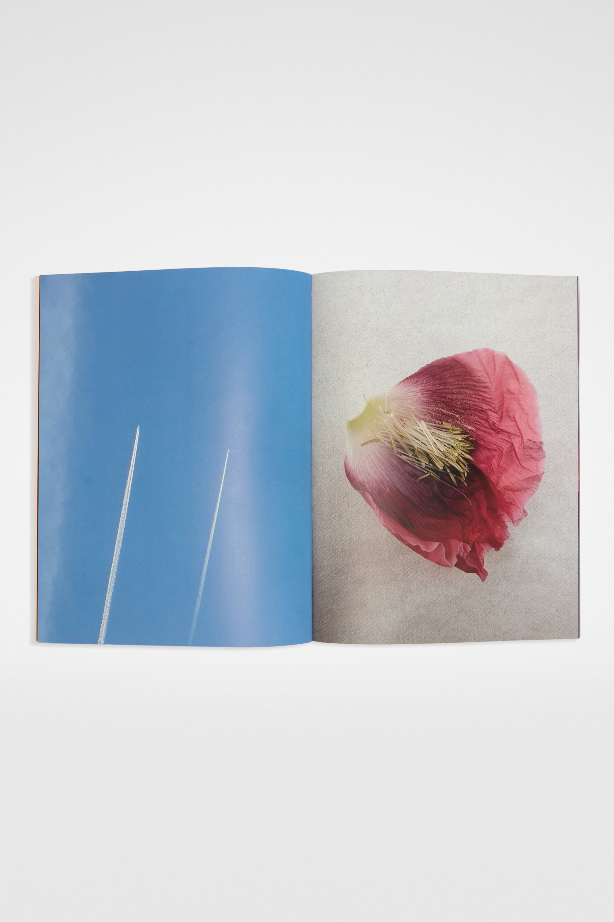 David Sims, Character - Publications - Image 3