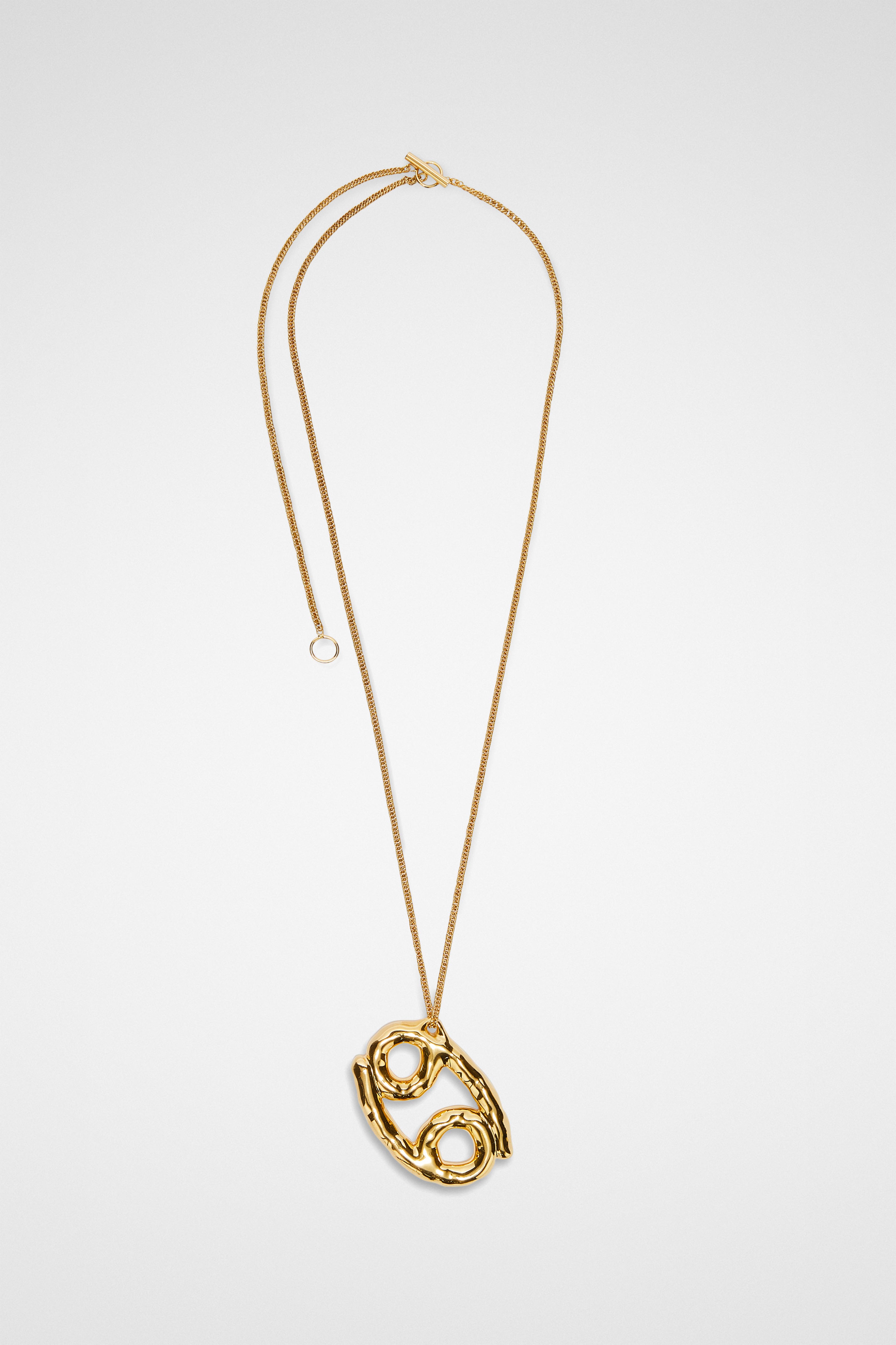 Zodiac Necklace Set - Necklaces - Image 1