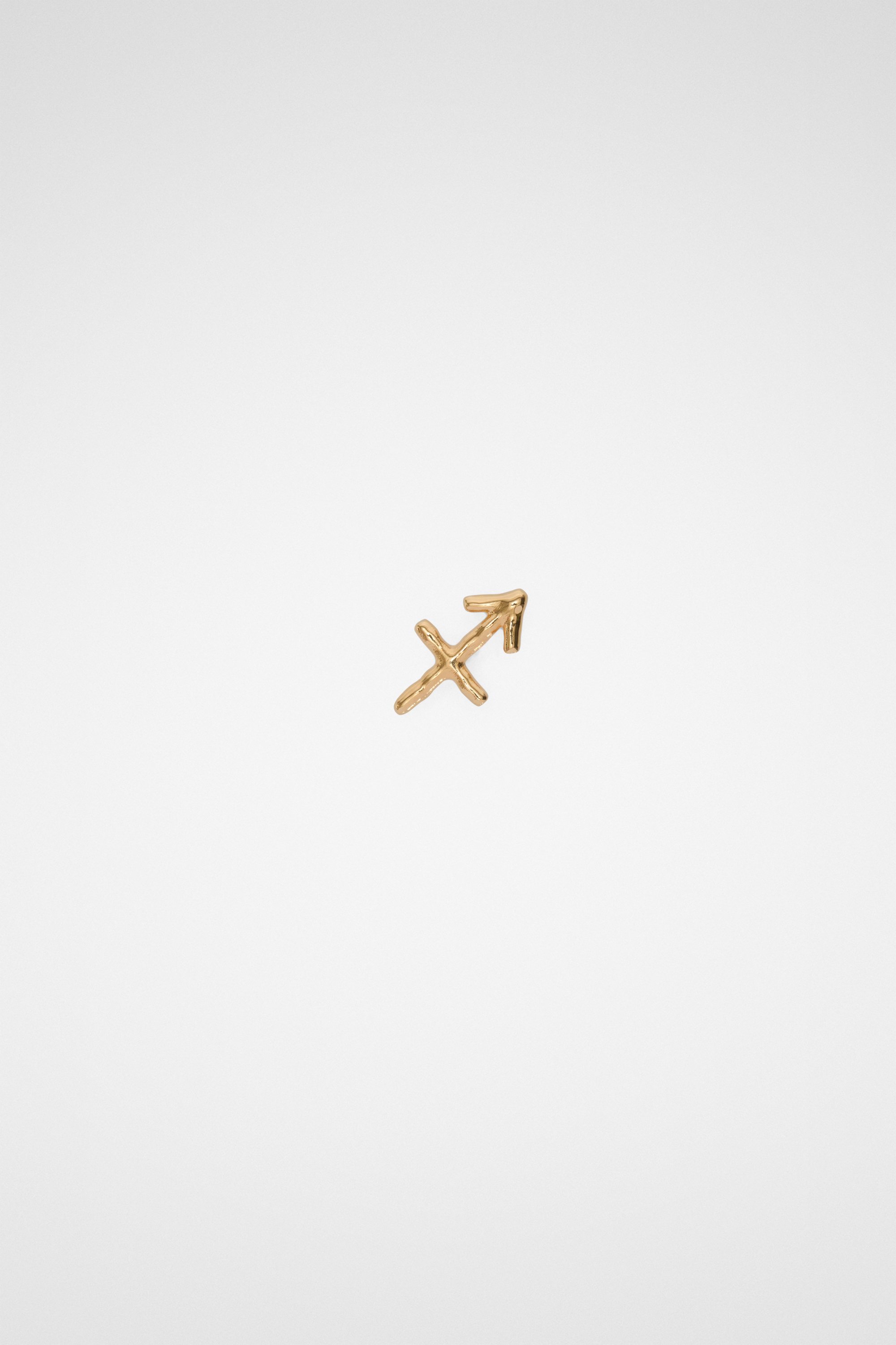 Zodiac Earring