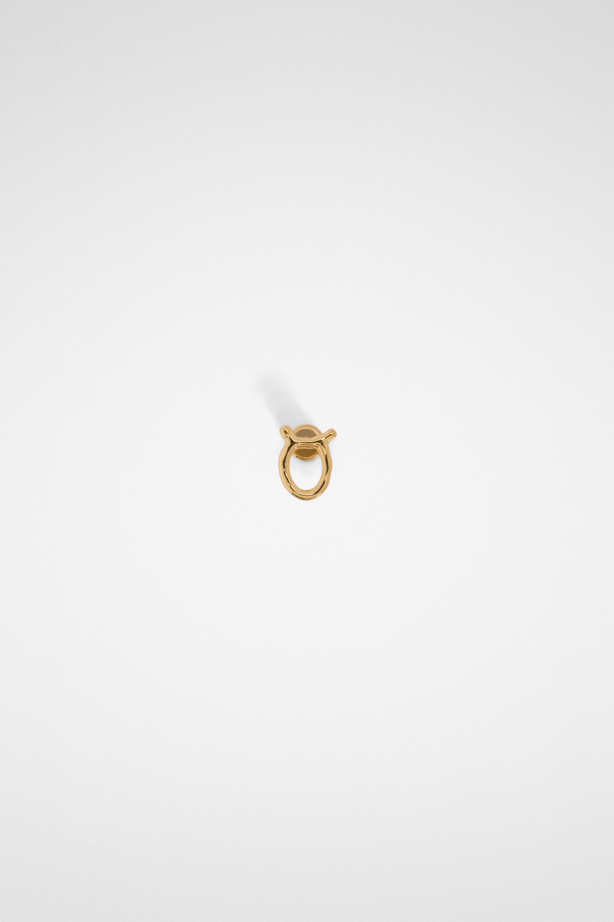 Zodiac Earring