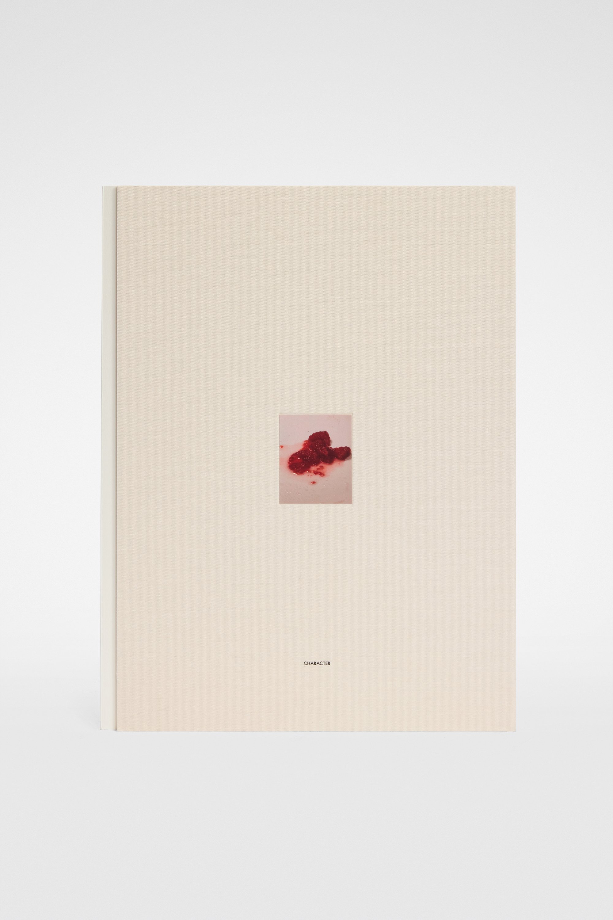 David Sims, Character - Publications - Image 1